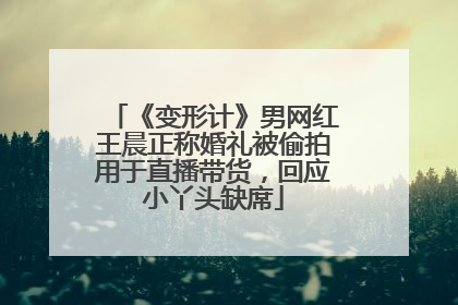 《变形计》男网红王晨正称婚礼被偷拍用于直播带货，回应小丫头缺席