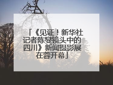 《见证！新华社记者陈燮镜头中的四川》新闻摄影展在蓉开幕