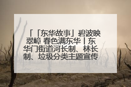 「东华故事」碧波映翠嶂 春色满东华丨东华门街道河长制、林长制、垃圾分类主题宣传如火如荼中