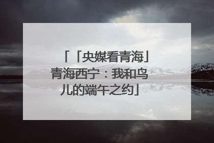 「央媒看青海」青海西宁：我和鸟儿的端午之约
