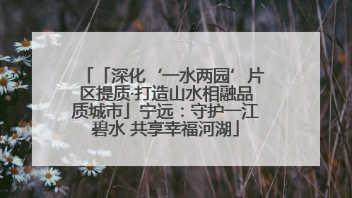 「深化‘一水两园’片区提质·打造山水相融品质城市」宁远：守护一江碧水 共享幸福河湖