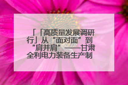 「高质量发展调研行」从“面对面”到“肩并肩”——甘肃全利电力装备生产制造项目一线见闻