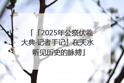 「2025年公祭伏羲大典·记者手记」在天水 听见历史的脉搏