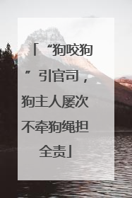 “狗咬狗”引官司，狗主人屡次不牵狗绳担全责