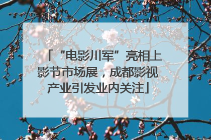 “电影川军”亮相上影节市场展，成都影视产业引发业内关注