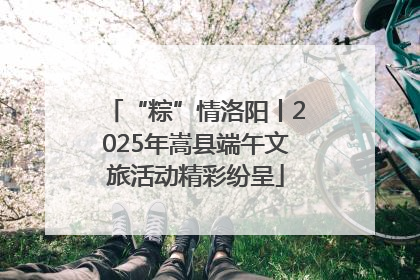 “粽”情洛阳丨2025年嵩县端午文旅活动精彩纷呈