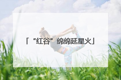 “红谷”绵绵延星火