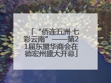 “侨连五洲·七彩云南”——第21届东盟华商会在德宏州盛大开幕