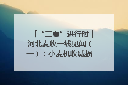 “三夏”进行时｜河北麦收一线见闻（一）：小麦机收减损“竞技” 农机高手麦田“过招”