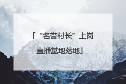 “名誉村长”上岗 直播基地落地