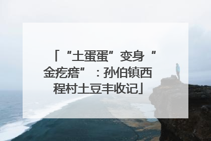 “土蛋蛋”变身“金疙瘩”：孙伯镇西程村土豆丰收记