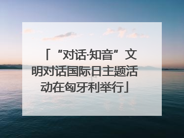 “对话·知音”文明对话国际日主题活动在匈牙利举行