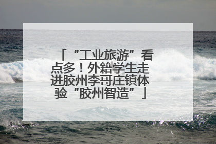 “工业旅游”看点多！外籍学生走进胶州李哥庄镇体验“胶州智造”