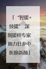 “智援+技援” 深圳援桂专家助力壮乡中医焕新颜