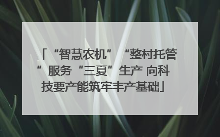 “智慧农机”“整村托管”服务“三夏”生产 向科技要产能筑牢丰产基础