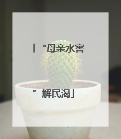 “母亲水窖”解民渴
