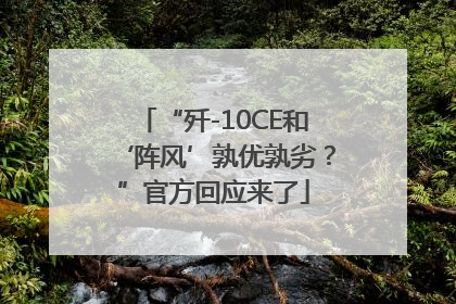“歼-10CE和‘阵风’孰优孰劣？”官方回应来了