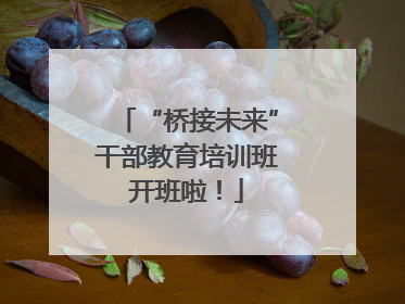 “桥接未来”干部教育培训班开班啦！