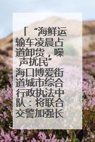“海鲜运输车凌晨占道卸货，噪声扰民” 海口博爱街道城市综合行政执法中队：将联合交警加强长堤路一带巡逻