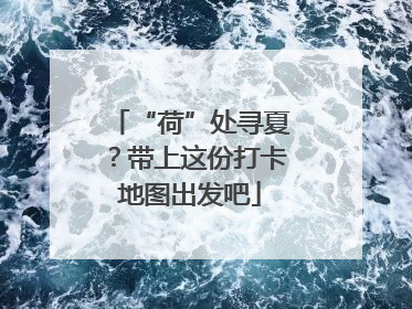 “荷”处寻夏？带上这份打卡地图出发吧