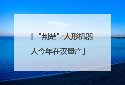 “荆楚”人形机器人今年在汉量产