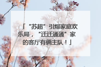 “苏超”引爆家庭欢乐局，“迁迁通通”家的客厅有俩主队！