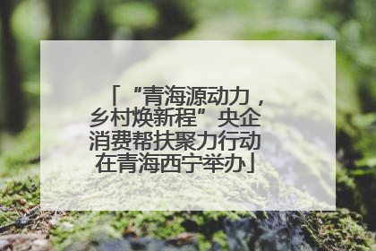 “青海源动力，乡村焕新程”央企消费帮扶聚力行动在青海西宁举办