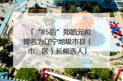 “85后”郑皓元拟提名为辽宁地级市县（市、区）长候选人