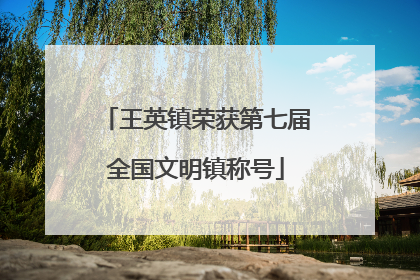 王英镇荣获第七届全国文明镇称号