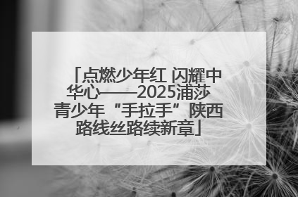点燃少年红 闪耀中华心——2025浦莎青少年“手拉手”陕西路线丝路续新章