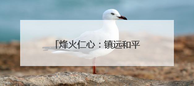 烽火仁心：镇远和平村的人道主义之光