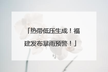 热带低压生成！福建发布暴雨预警！