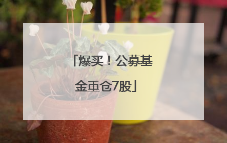 爆买！公募基金重仓7股