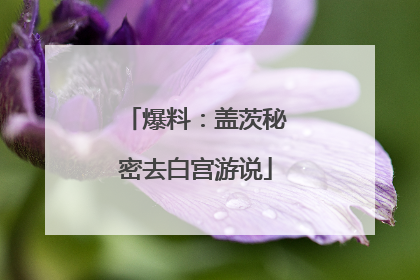 爆料：盖茨秘密去白宫游说
