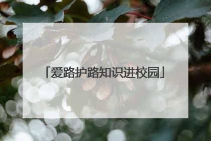 爱路护路知识进校园