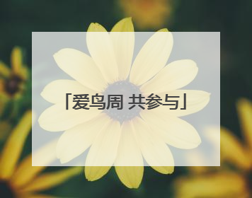 爱鸟周 共参与