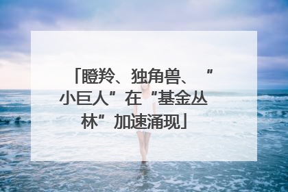 瞪羚、独角兽、“小巨人”在“基金丛林”加速涌现
