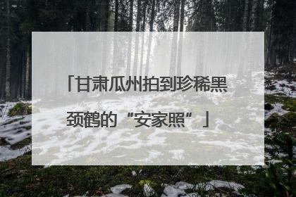 甘肃瓜州拍到珍稀黑颈鹤的“安家照”