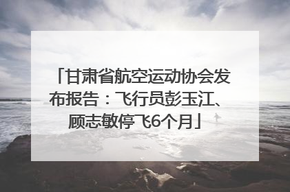 甘肃省航空运动协会发布报告：飞行员彭玉江、顾志敏停飞6个月