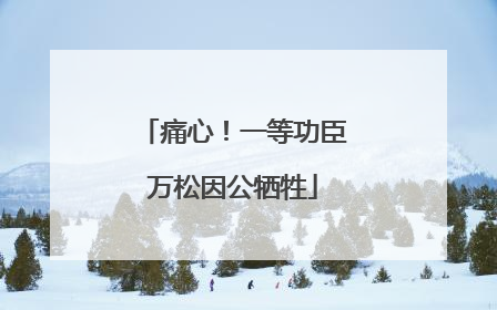 痛心！一等功臣万松因公牺牲