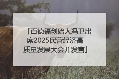 百德福创始人冯卫出席2025民营经济高质量发展大会并发言