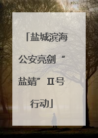 盐城滨海公安亮剑“盐靖”Ⅱ号行动