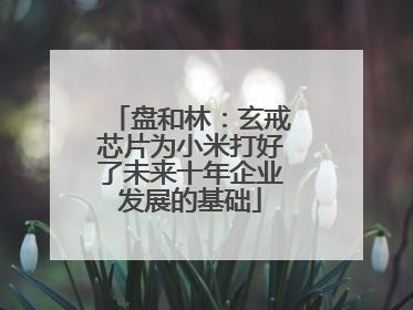 盘和林：玄戒芯片为小米打好了未来十年企业发展的基础