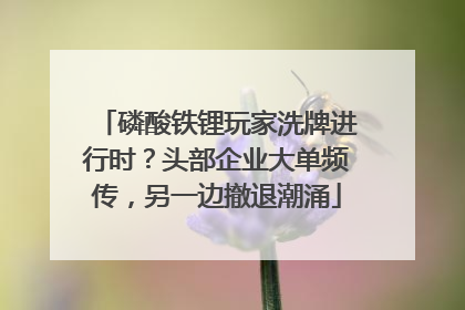 磷酸铁锂玩家洗牌进行时？头部企业大单频传，另一边撤退潮涌