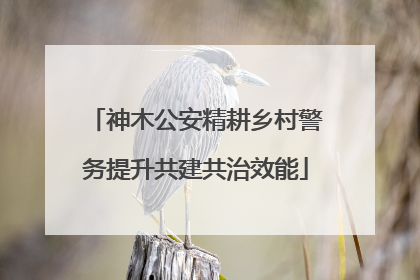 神木公安精耕乡村警务提升共建共治效能
