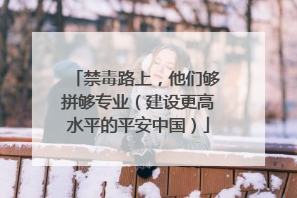 禁毒路上，他们够拼够专业（建设更高水平的平安中国）