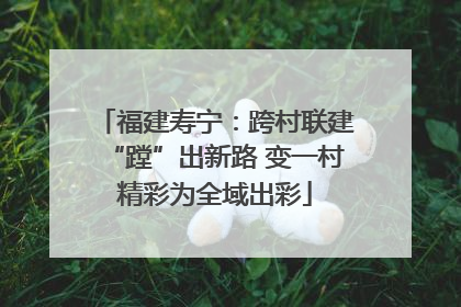 福建寿宁：跨村联建“蹚”出新路 变一村精彩为全域出彩