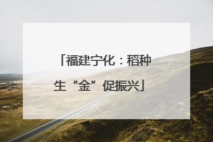 福建宁化：稻种生“金”促振兴