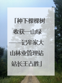 种下棵棵树 收获一山绿——记牟家大山林业管理站站长王占胜