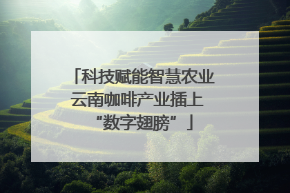 科技赋能智慧农业 云南咖啡产业插上“数字翅膀”